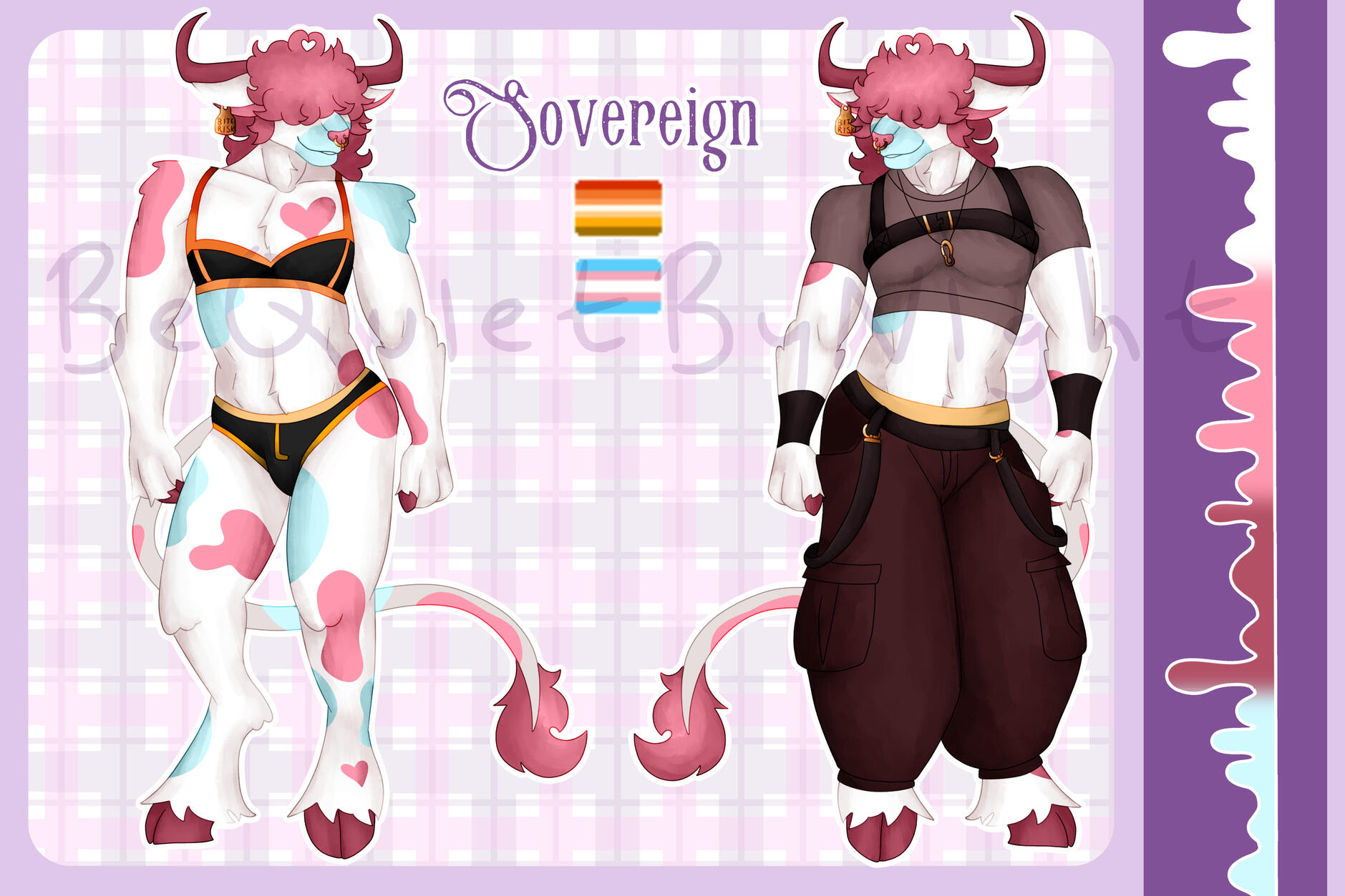 Furry Reference Sheet